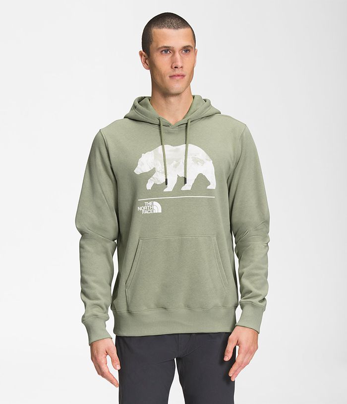 The North Face Mens Hoodie Bearscape Pullover 459PLXZDN - Green